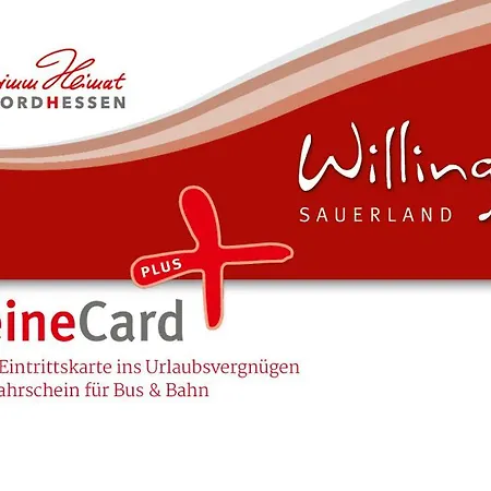 Kleines Glueck In Willingen &Meinecardplus Экстерьер фото